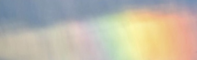 Aufruf zum Schutz von LSBTIQ+ in Gaza und dem Westjordanland